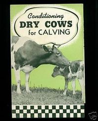 1940 Purina Conditioning Drt Cows for Calving Booklet