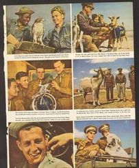 1943 Print AD Mascots eagle goat pigeon horned toad
